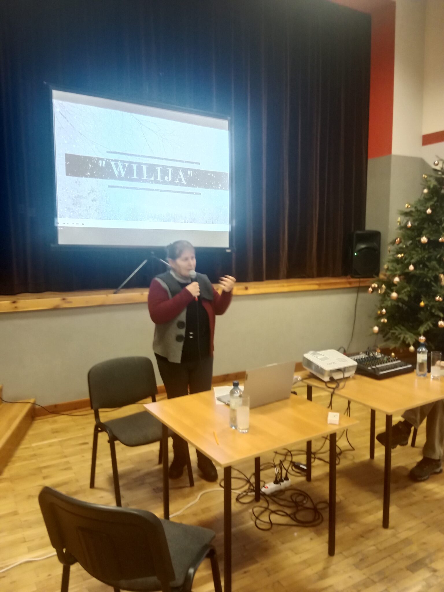 Projekcja filmu „Wilija” w Wierzawicach