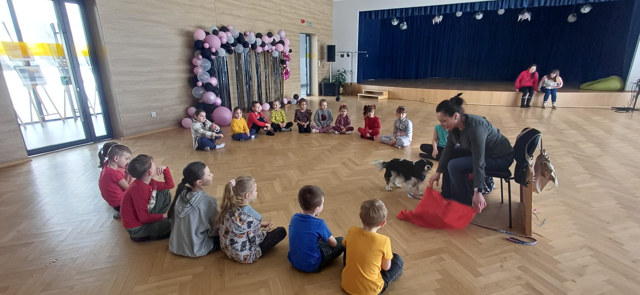 Dogoterapia w Starym Mieście